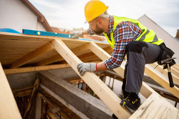 Best Roof Gutter Cleaning  in Lake Village, AR