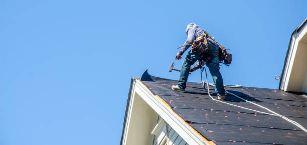 Best Roof Gutter Cleaning  in Lake Village, AR